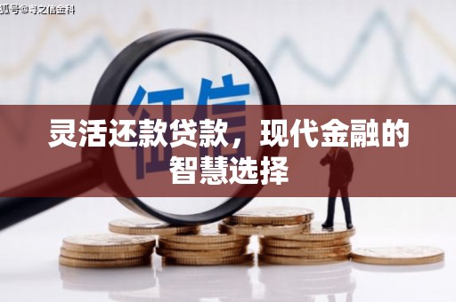 师宗灵活还款贷款，现代金融的智慧选择