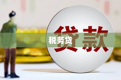 东乌旗税务贷
