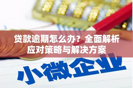 海端贷款逾期怎么办？全面解析应对策略与解决方案