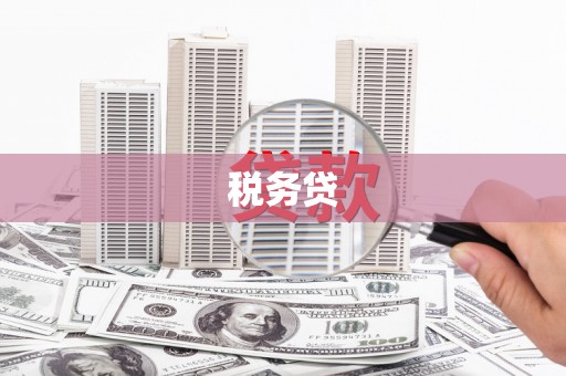 大埔税务贷