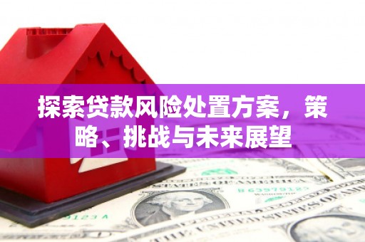 学甲探索贷款风险处置方案，策略、挑战与未来展望