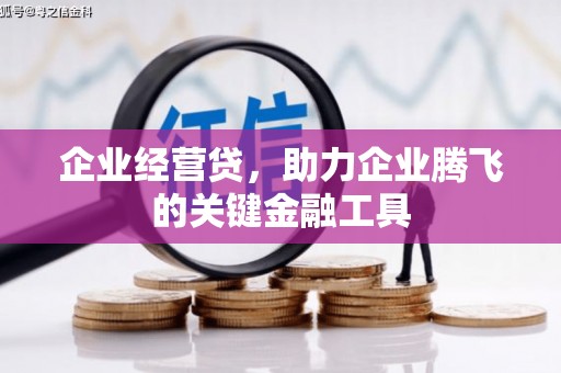 梁河企业经营贷，助力企业腾飞的关键金融工具
