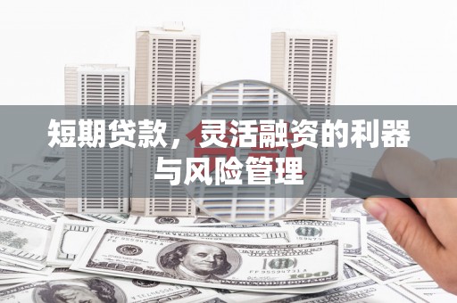 解放短期贷款，灵活融资的利器与风险管理