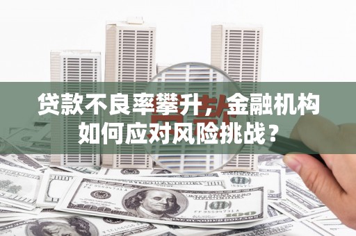 西吉贷款不良率攀升，金融机构如何应对风险挑战？