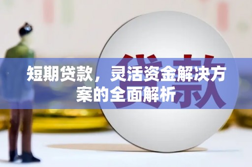 狮潭短期贷款，灵活资金解决方案的全面解析