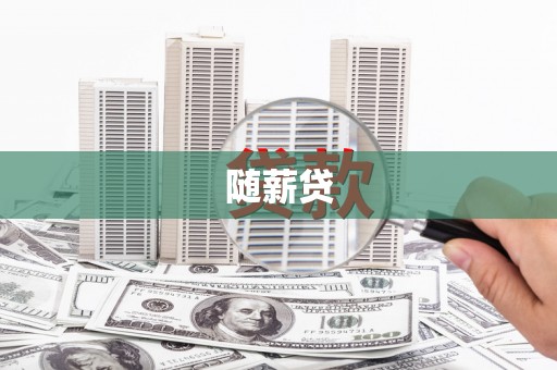大武随薪贷