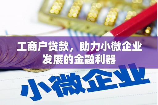 盐边工商户贷款，助力小微企业发展的金融利器