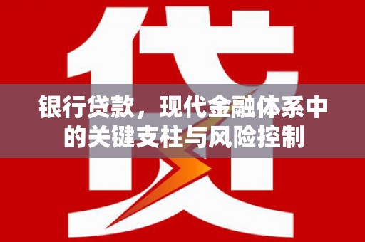 萨迦银行贷款，现代金融体系中的关键支柱与风险控制