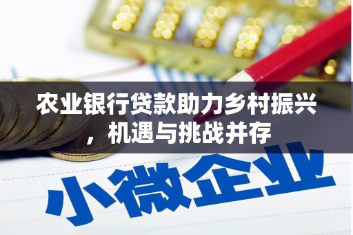 乌来农业银行贷款助力乡村振兴，机遇与挑战并存
