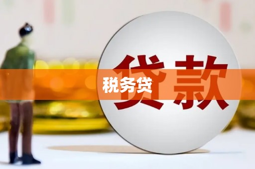 边坝税务贷