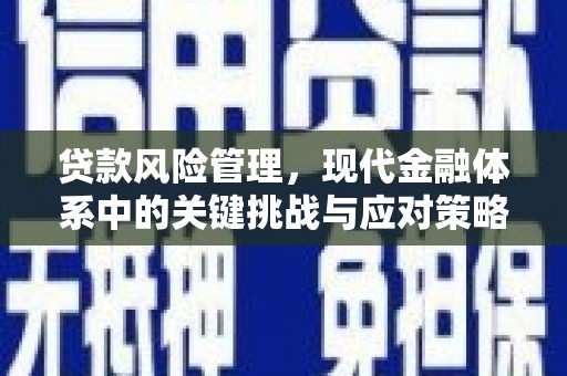 安宁贷款风险管理，现代金融体系中的关键挑战与应对策略