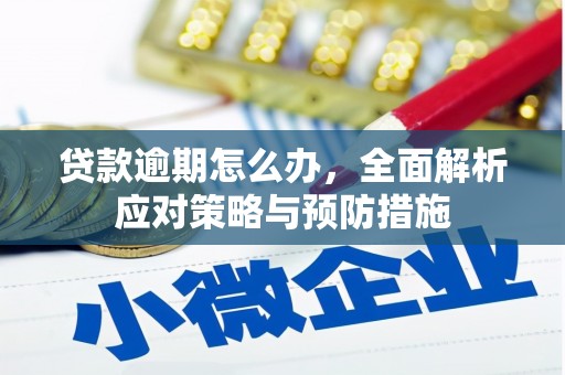 天水贷款逾期怎么办，全面解析应对策略与预防措施