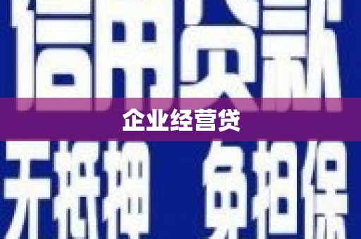 盘龙企业经营贷