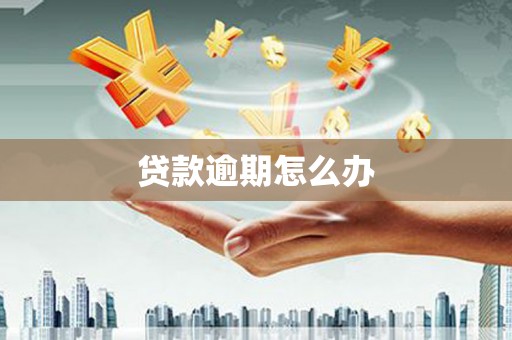 获嘉贷款逾期怎么办
