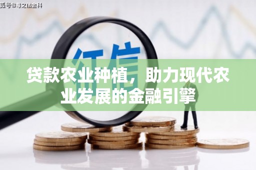 赵县贷款农业种植，助力现代农业发展的金融引擎