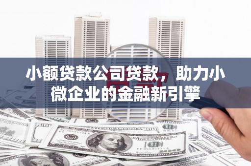 天台小额贷款公司贷款，助力小微企业的金融新引擎
