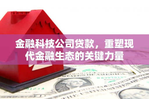 陇南金融科技公司贷款，重塑现代金融生态的关键力量