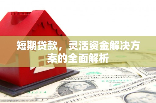 大武短期贷款，灵活资金解决方案的全面解析