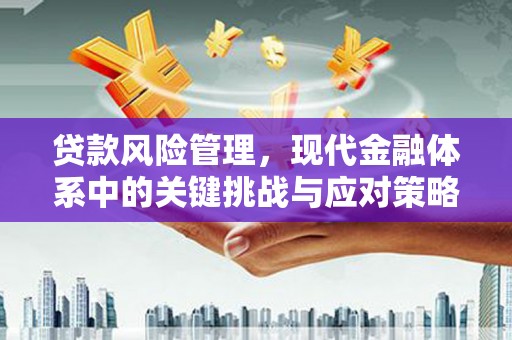 康保贷款风险管理，现代金融体系中的关键挑战与应对策略