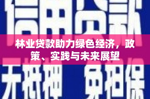 孙吴林业贷款助力绿色经济，政策、实践与未来展望