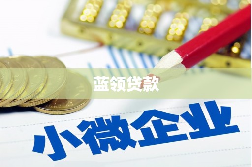 博乐蓝领贷款