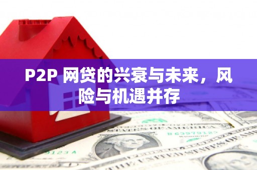 阜新P2P 网贷的兴衰与未来，风险与机遇并存