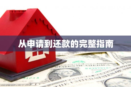 观音从申请到还款的完整指南