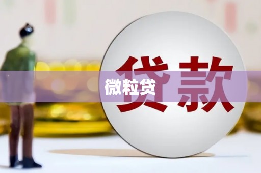 东乡族微粒贷