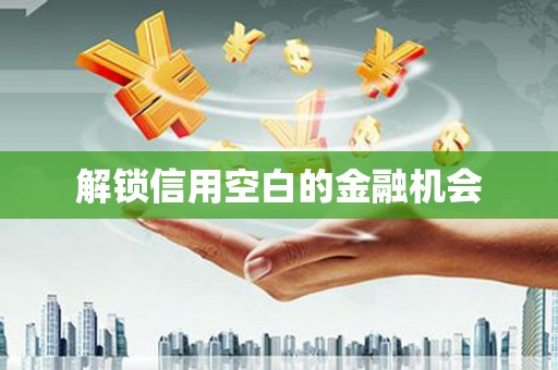 永新解锁信用空白的金融机会