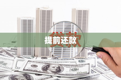 若尔盖提前还款