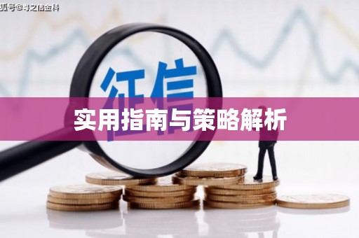 雷州实用指南与策略解析